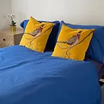 Beautiful One Bedroom Flat